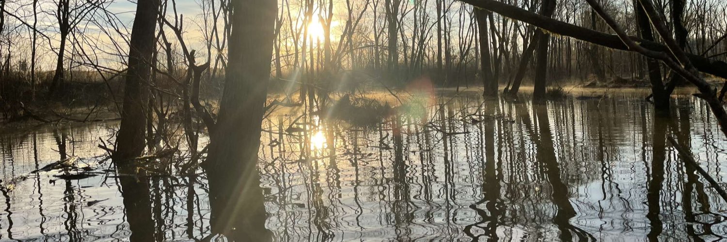 Prof. Roger Defeato banner