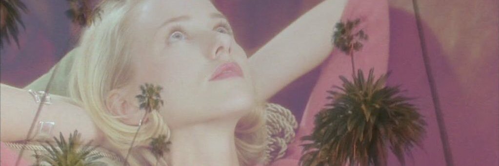 SimoneFortinB's profile banner image