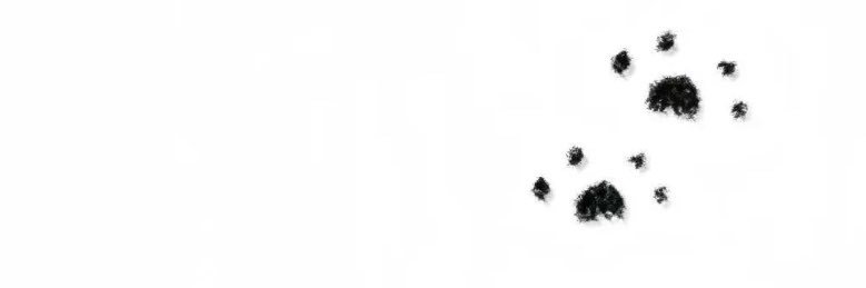 luxxyqaq's profile banner image
