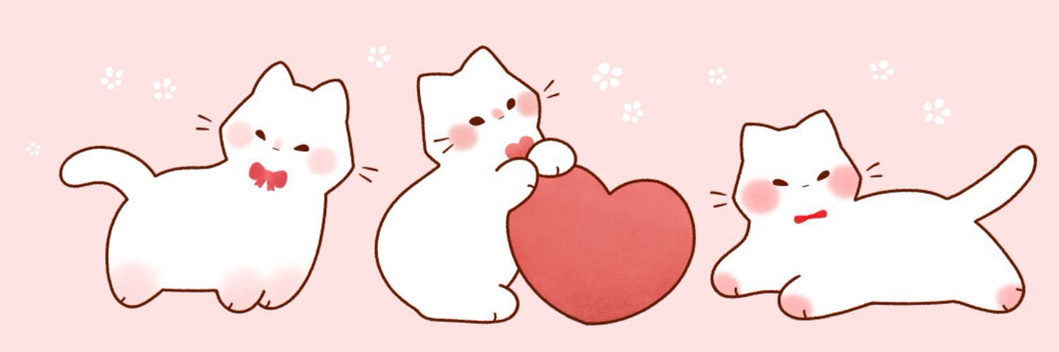 155meow's profile banner image