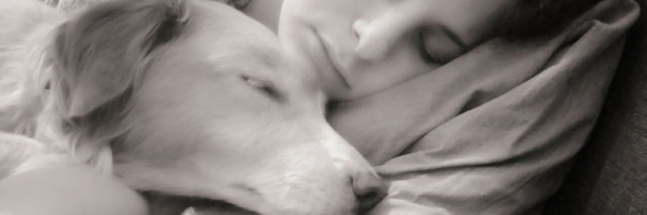 tefigerszo's profile banner image