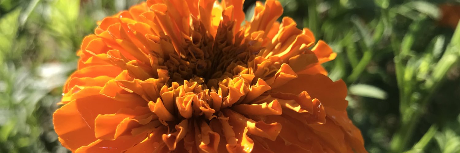 freyagazz's profile banner image