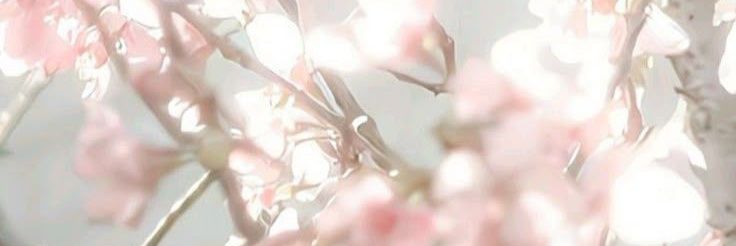 gonuk1e's profile banner image