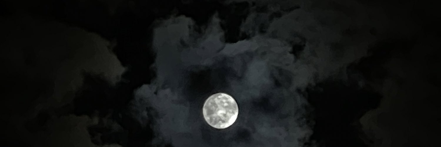 AlBN309's profile banner image
