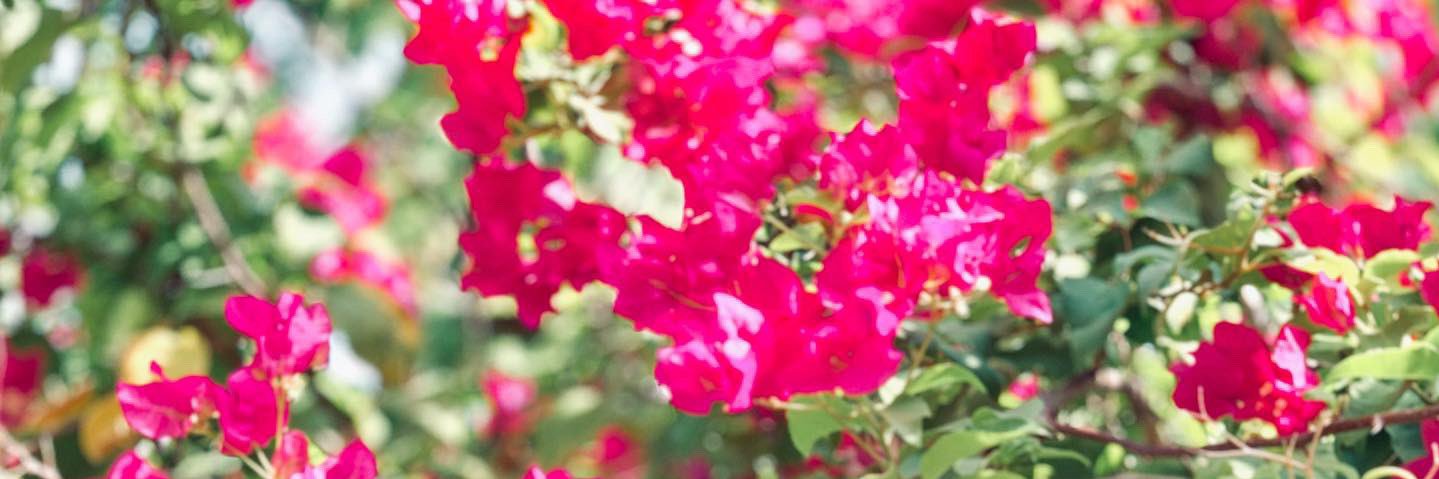 natheww's profile banner image