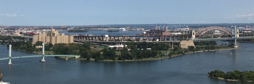 Michael Steiner banner