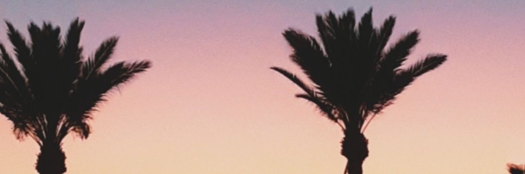 SurfLol's profile banner image