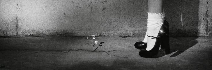 fwr_eva's profile banner image