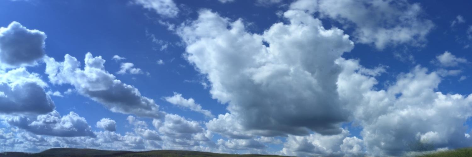 Steven Swartz banner