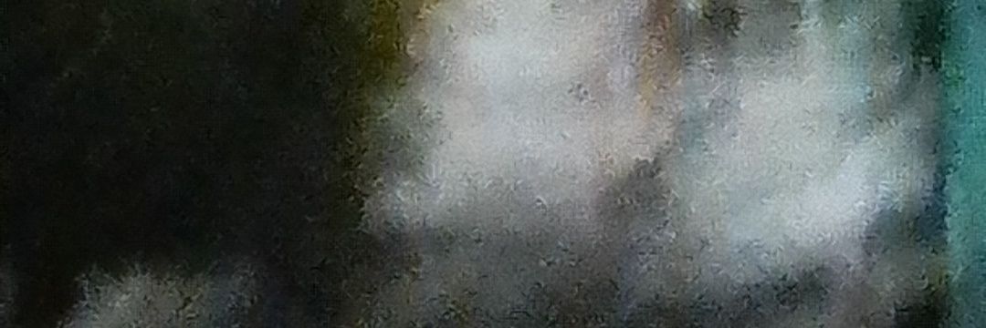 Alfonso712366's profile banner image