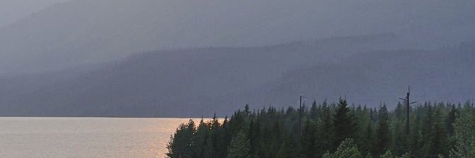 beearbeer's profile banner image