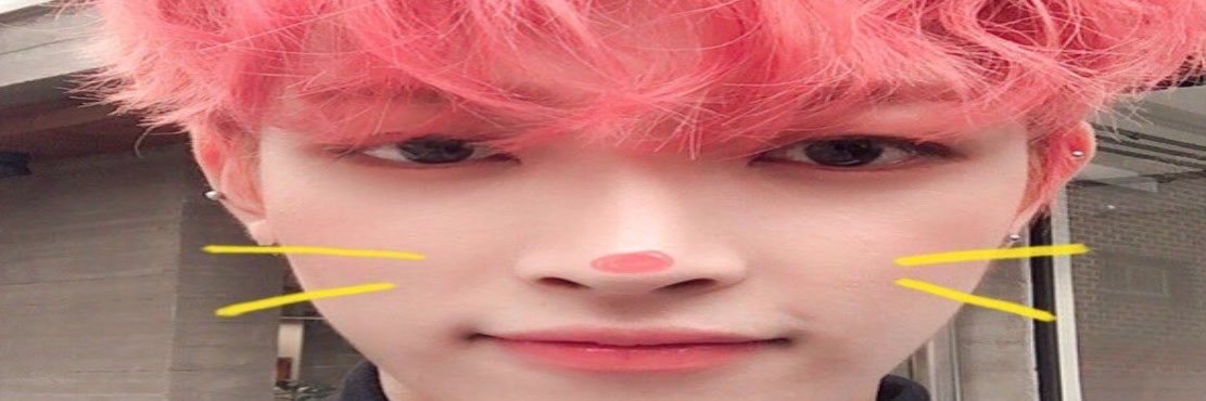 mingiarchivee's profile banner image