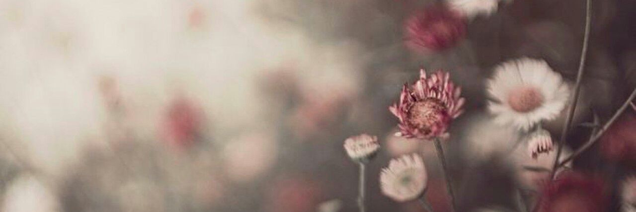 KrystalLeigh's profile banner image