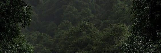 v banner