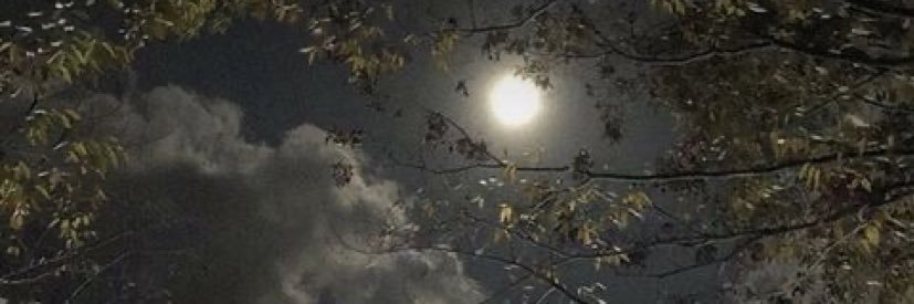 lightquill20's profile banner image