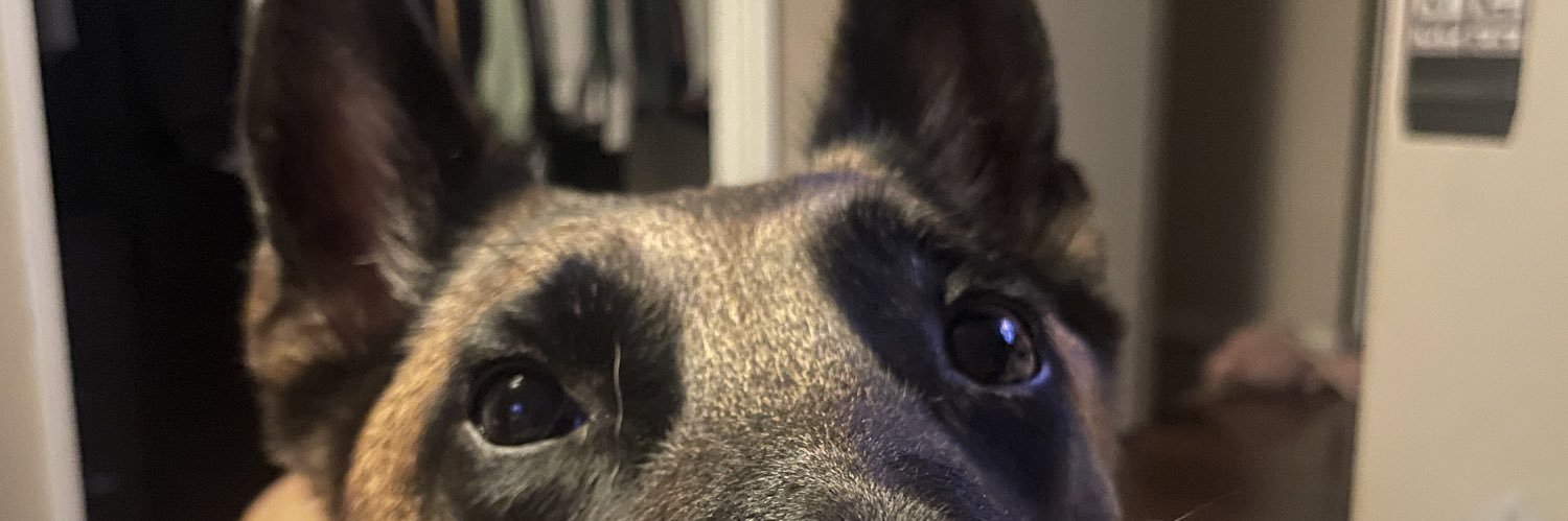 Call_of_Rudy's profile banner image