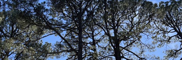 ferloo13 Profile Banner