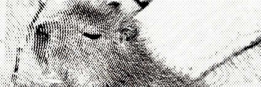 cappo's banner
