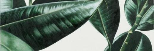 IsabelWilkinson's profile banner image