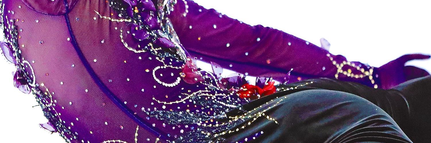 淡墨桜❄️ᓚᘏᗢ❄️氷結 ꒰ঌ⛸️ ,｡･:*･ﾟ banner