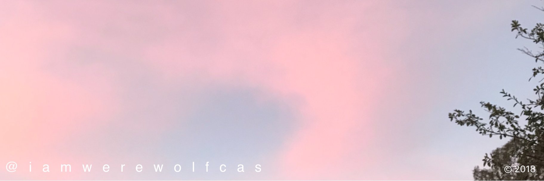 iamwerewolfcas's profile banner image