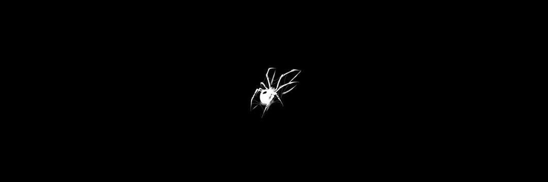 tussibr's profile banner image