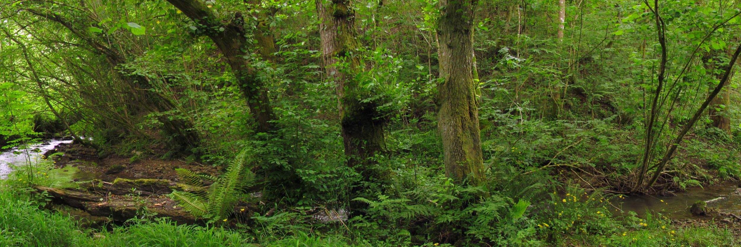 Antonio Torralba banner