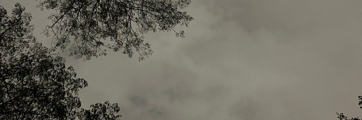 𝐀𝐧𝐝𝐫𝐞 banner