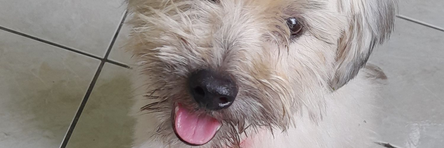 Julie Mangophile 🥭's banner