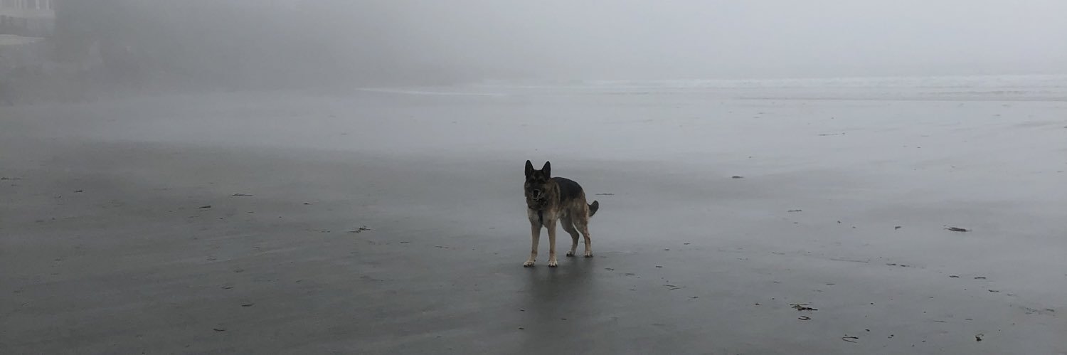 DenNichols's profile banner image