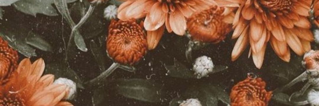 surhangol's profile banner image