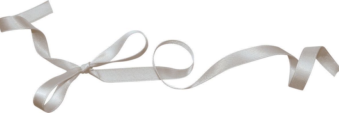 🤍Halo🤍Lucio and PinkPantheress fanclub banner