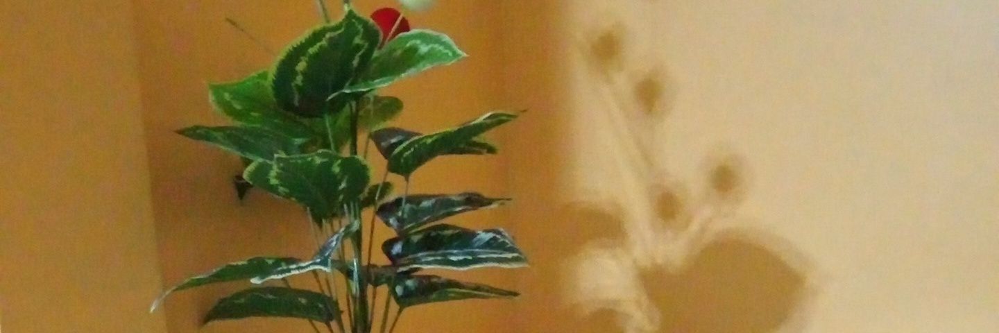 Allan_EdisonM's profile banner image