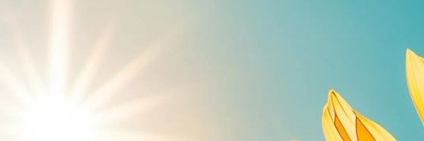 Poisonberry05 Profile Banner