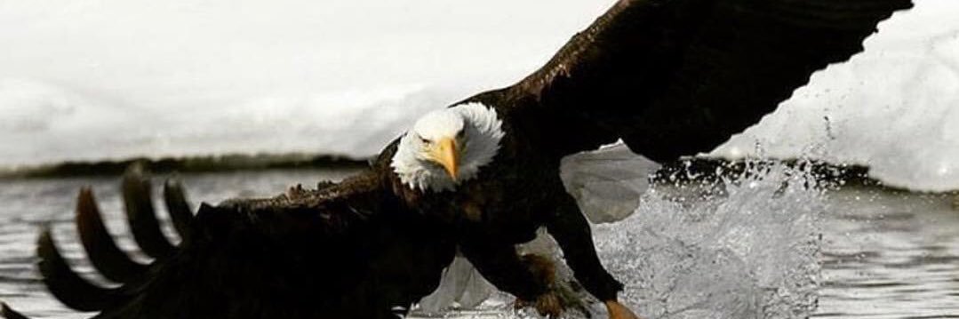 espresiyke's profile banner image