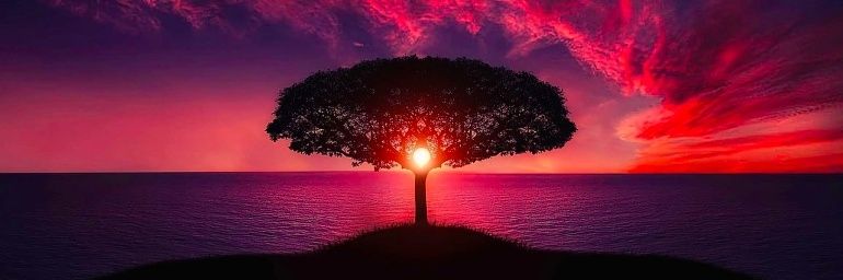 Thabis0dlamini's profile banner image