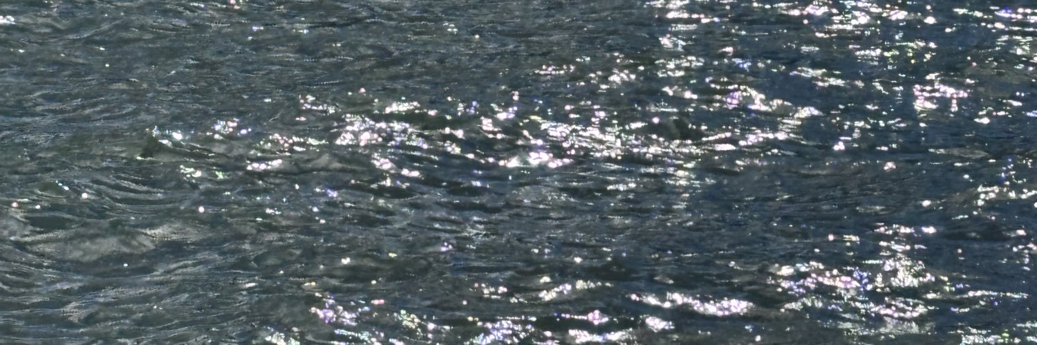 🍭 LLLL 🍭 banner