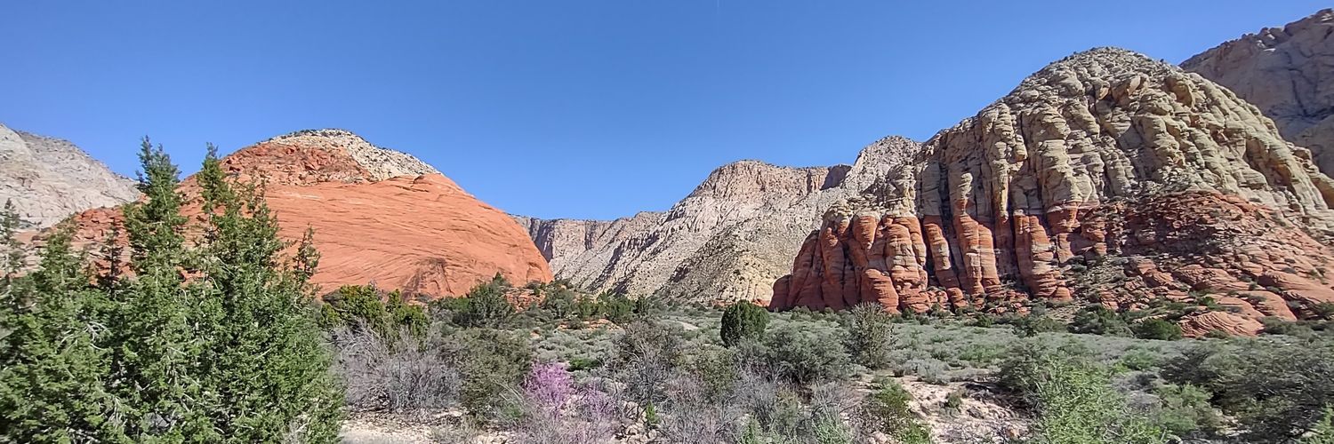 🆓Joe יוסף בנט banner