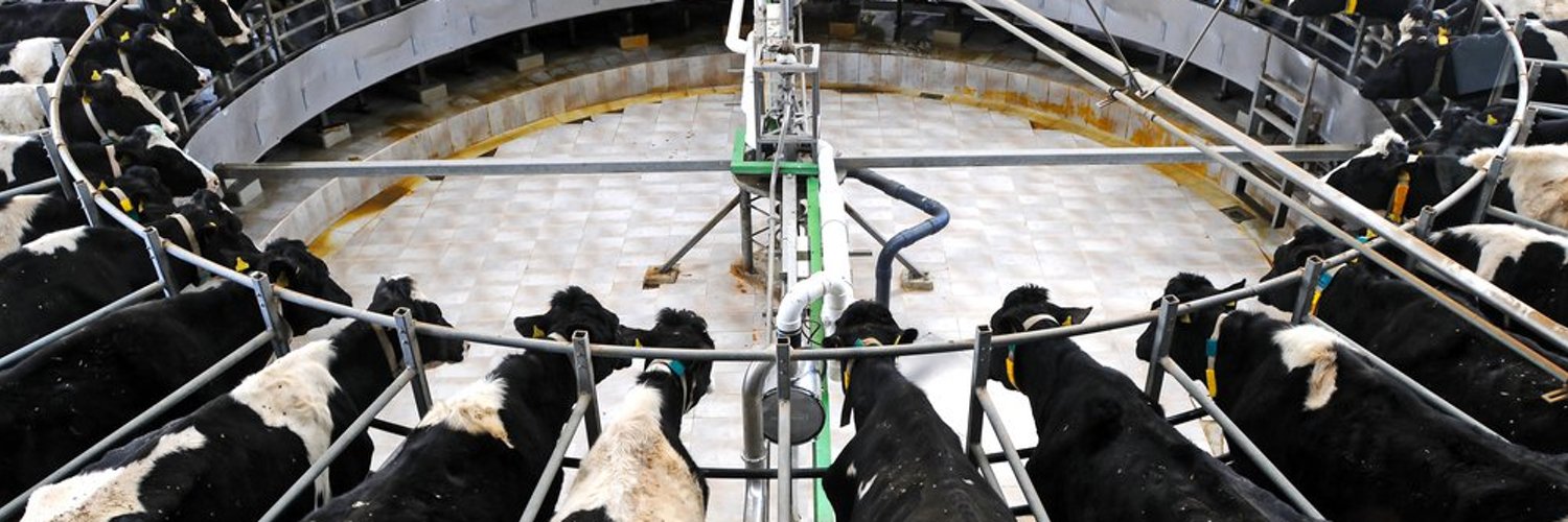 Cowster2030's banner