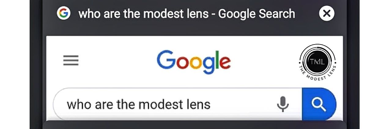 The Modest Lens banner