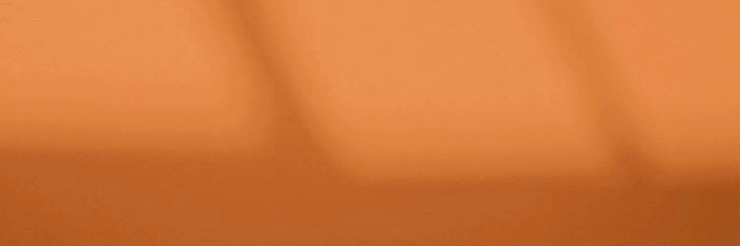 cat banner