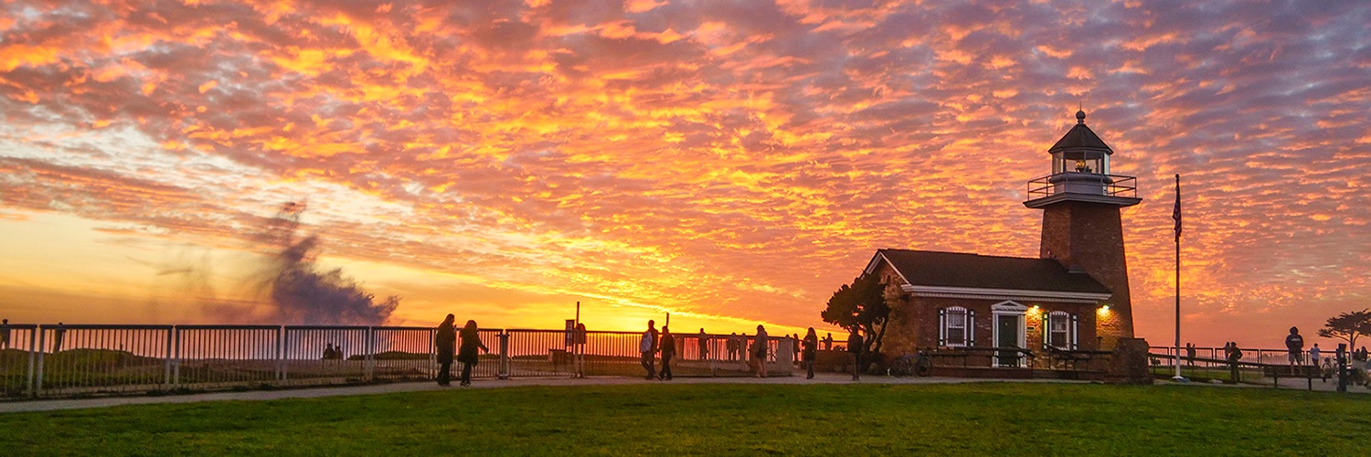 California Conspiracy Theorist banner