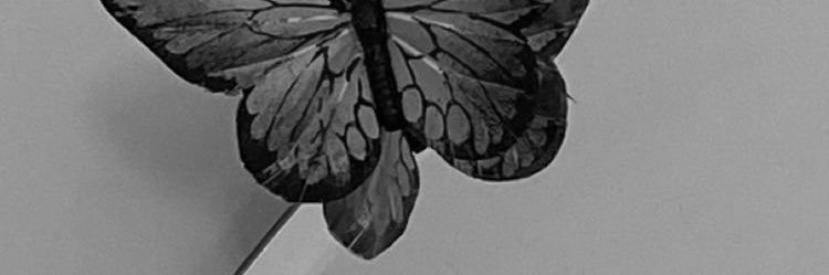 fuxtos's profile banner image