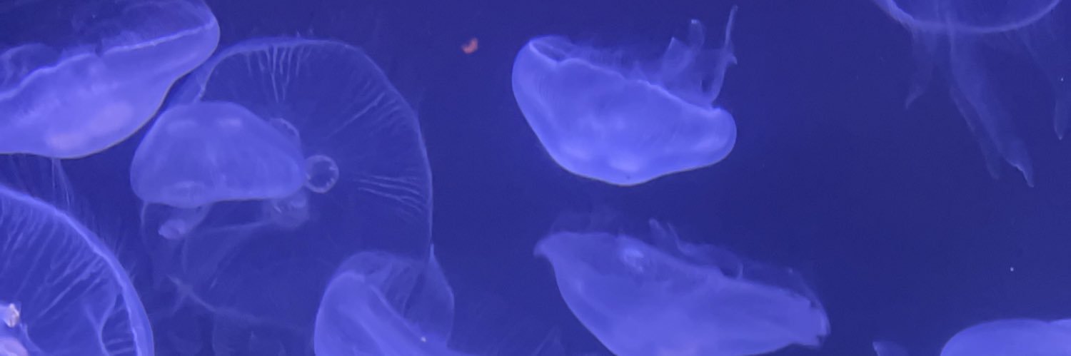 whoopsnotagainn's profile banner image