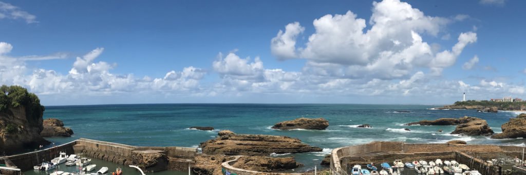 Raquelshaooli's profile banner image