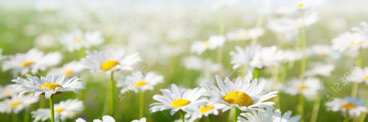 christadenae's profile banner image