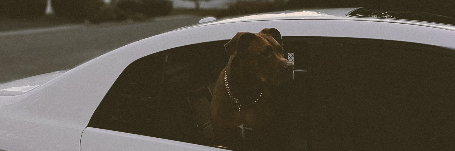 t0ri2turnt's profile banner image
