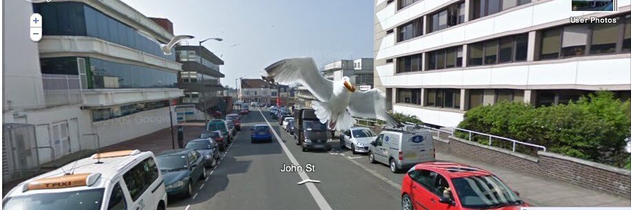 GullOfBrighton's profile banner image