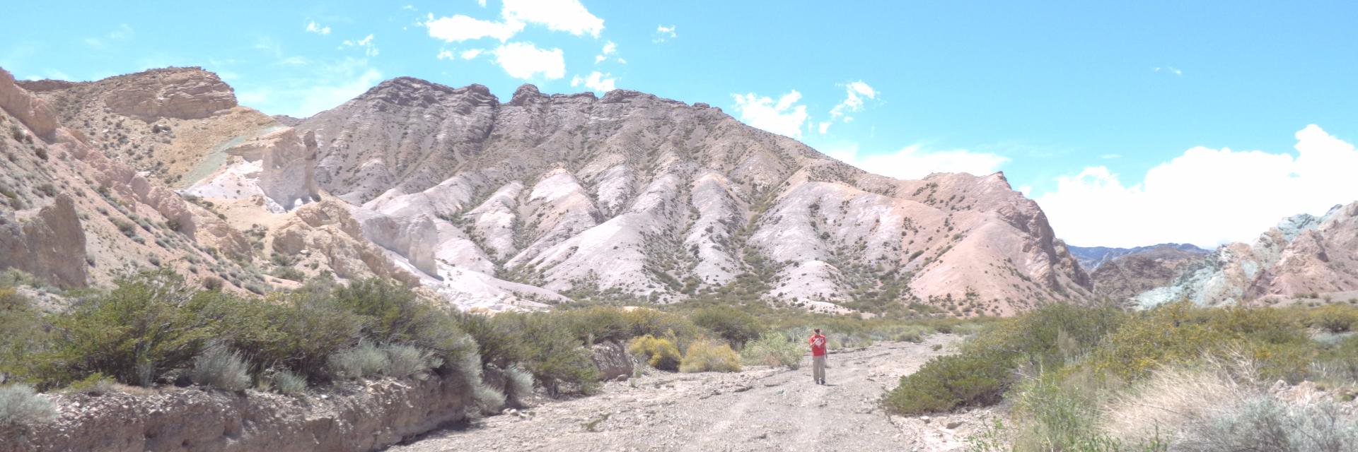 bladeshank's profile banner image
