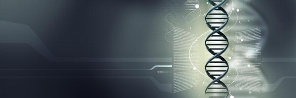 jengauthier9 Profile Banner